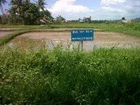 Kodya Padang dekat Bandara MIA