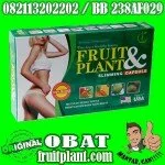 FRUITPLANT PELANGSING TUBUH 100%HeRBAL TNPA EFEK SMPING [082113202202]