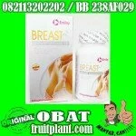 EMILAY BREAST UP KAPSUL PeMBESAR PAYUDARA 100%HeRBAL [082113202202]