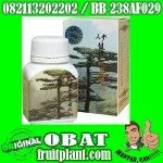 PENGGEMUK BADAN SuPER KIANPI PIL GINSENG 100%HerBAL [082113202202]