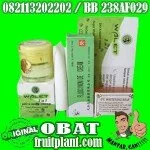 CREAM WALET 2 in 1 PEMUTIH WaJAH AMAN NON MERCURI [082113202202]