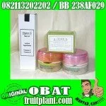 CREAM A-DHA 100%Herbal NON MERCURI WAJAH JADI PUTIH CEMERLANG [082113202202]