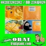 NATURGO MASKER LUMPUR [082113202202/BB 238AF029] PeNGHILANG KOMEDO