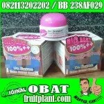 DR. SUSAN BREAST UP [082113202202/BB 238AF029] CREAM PEMBeSAR PAYUDARA