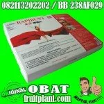 RAPIBUST MASKER PEMBESAR PaYUDARA [082113202202/BB 238AF029] ORIGINaL