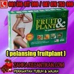 FRUIT&PLANT SLIM HERBAL [081316077399] PELANGSING TERCEPAT DAN DIJAMIN AMPUH