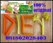 obat pelangsing badan herbal 081802028403