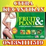 fruit & plant obat pelangsing herbal cepat turunkan berat badan [082112990999]