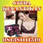 magic eve bra membesarkan & mengencangkan payudara hasil terbukti [081381111519]