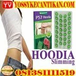 HOODIA SLIM NO.1 MEMBAKAR LEMAK TERCEPAT & MENAHAN NAFSU MAKAN