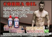 cobra oil membesarkan alat vital secara permanen