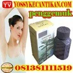 kianpi pil super penggemuk badan ginseng menambah berat badan biar kelihatan montok