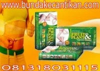 PELANGSING SUPER HERBAL FRUITPLANT CALL 081318031115