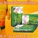 PELANGSING SUPER HERBAL FRUITPLANT CALL 081318031115,PIN BB 2A53E2BB