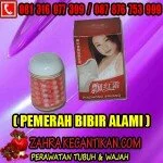 Pemerah bibi herbal merah merona alami tanpa iritasi [ 081316077399 / 28dc4599]