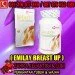 emilay breast up 100% herbal pembesar payudara 081316077399 / 28dc4599