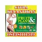 PELANGSING FRUIT PLANT HERBAL CEPAT TEPAT NON EFEK SAMPING 081381111519