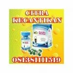 BODY SLIM HERBAL AMAN TANPA EFEK SAMPING CALL 081381111519