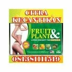 FRUIT PLANT PELANGSING PALING TERPERCAYA DAN TERBUKTI 081383123444