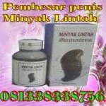 LINTAH OIL, OBAT KUAT JAKARTA alat bantu TOYS-085640006752