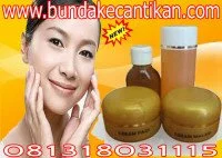 CREAM SYAHRINI GOLD CREAM WAJAH BERKUALITAS [081318031115,PIN BB 2A53E2BB]